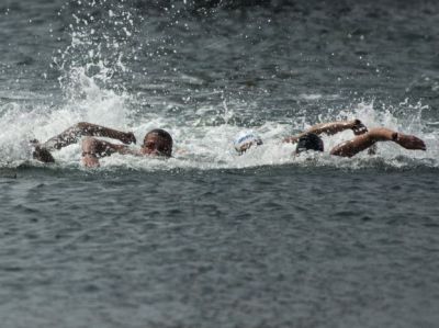 Кубок Чемпионов по плаванию 2014