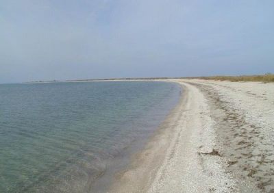 Петровский сверхмарафон 2014