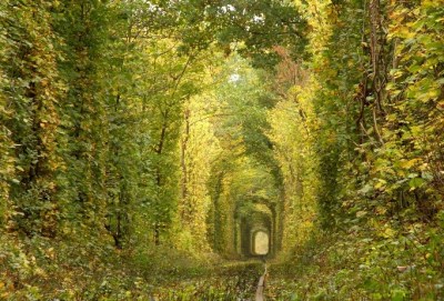 Путяевский Лабиринт 2014 - 3 этап