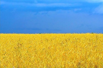 В майке UA на ММ 2014