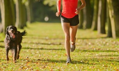 Бабаевские забеги 13-14 сентября 2014 года