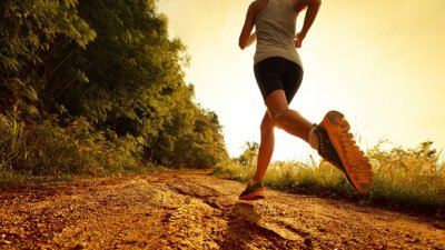 Соревнования 18-19 октября 2014 (краткий список)