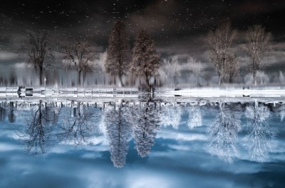 Соревнование в декабре 2014 года