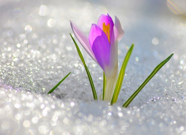 Весенний пробег в Жукове 2 апреля 2016 года